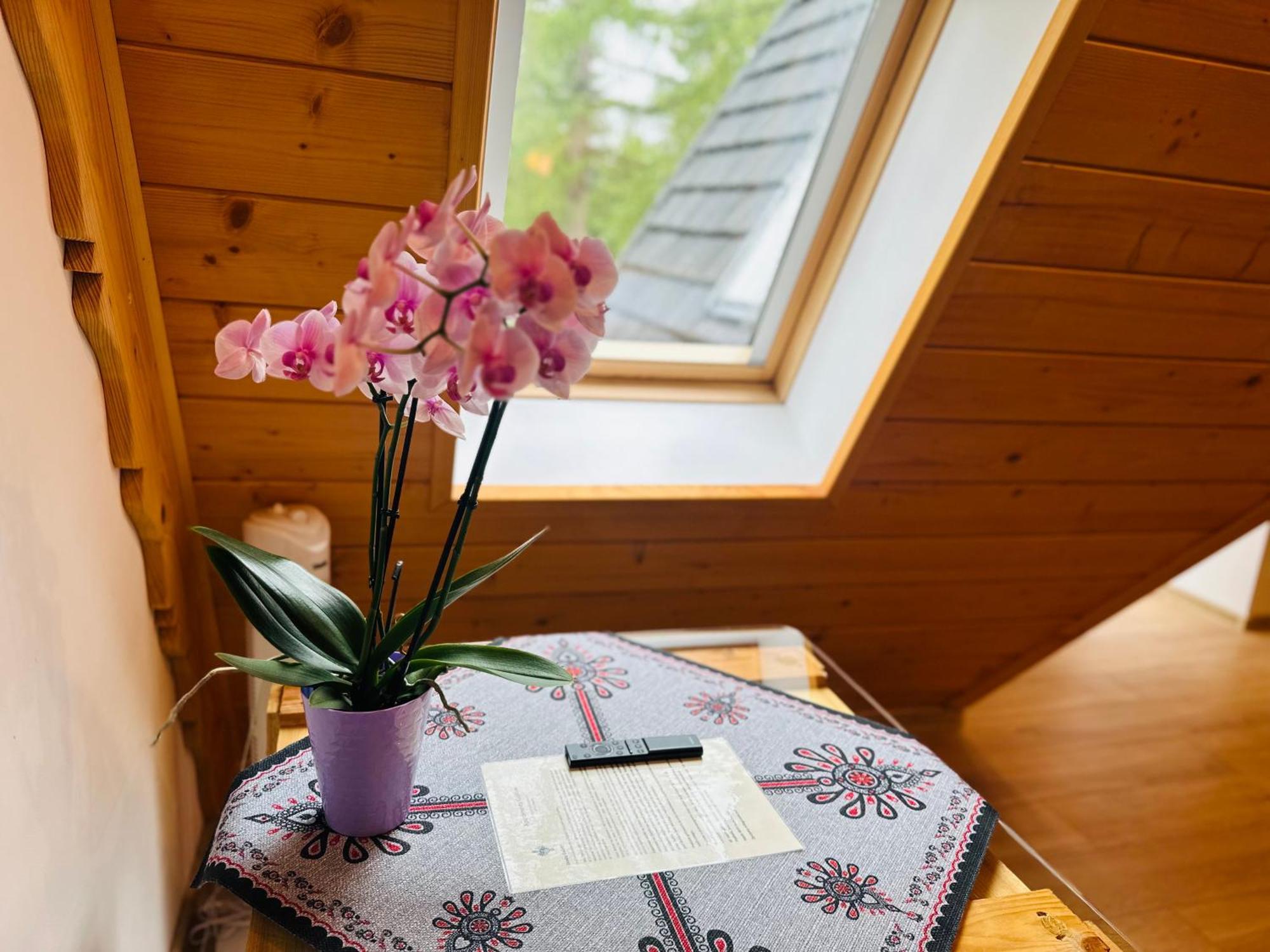 Apartamenty Krokiew Zakopane Buitenkant foto